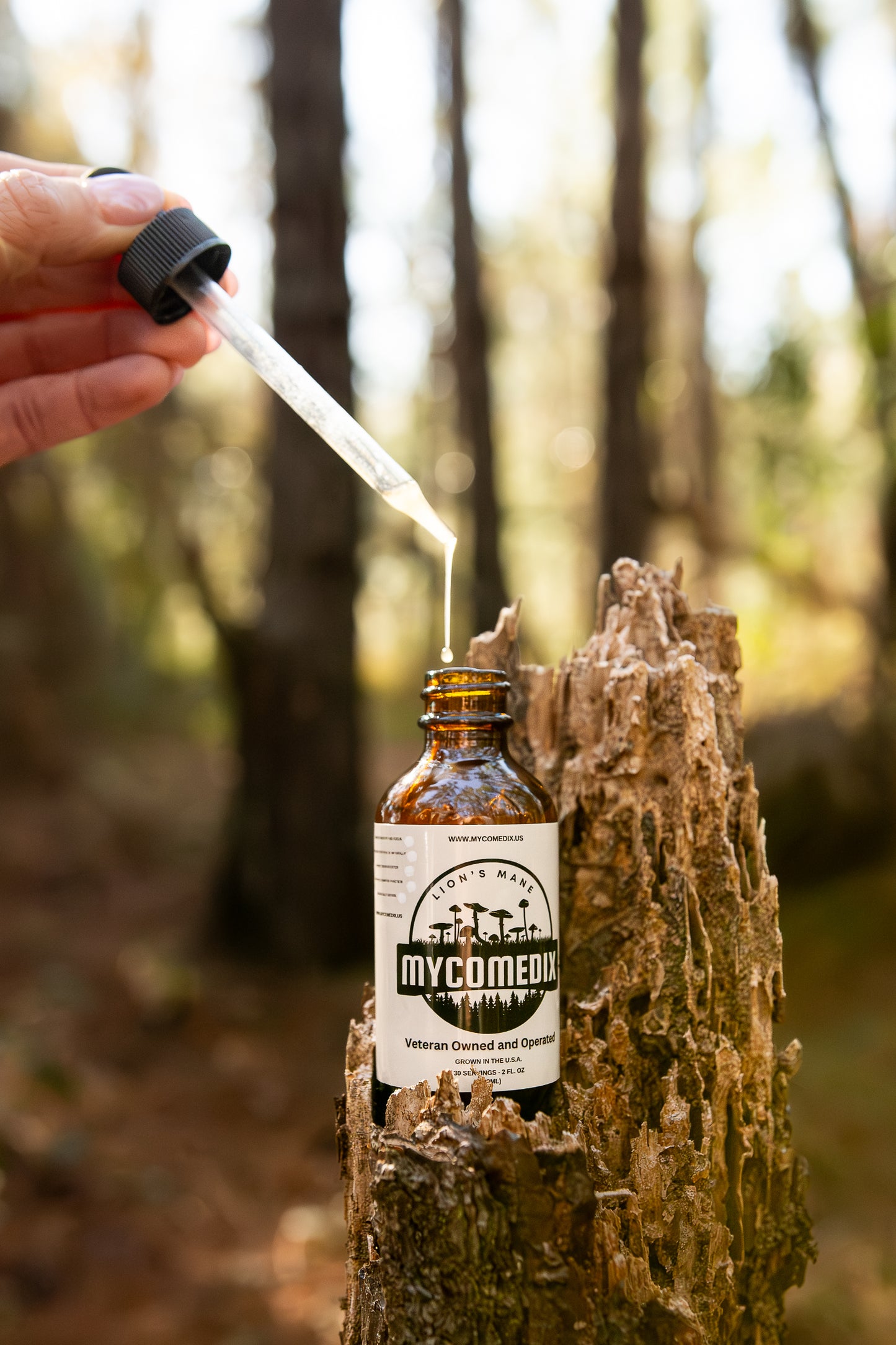 Lions Mane Tincture